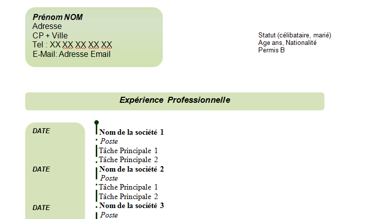 Exemple de CV