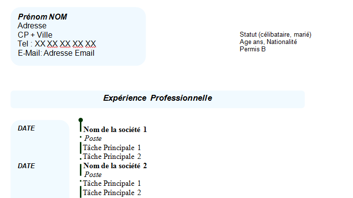 Exemple de CV