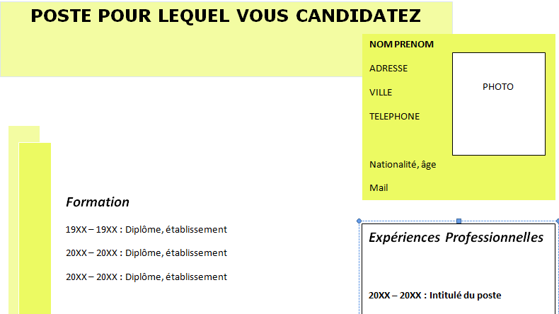 Exemple de CV