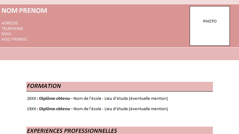 Exemple de CV